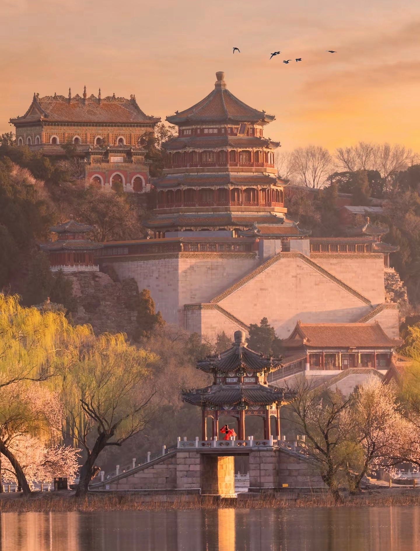 26cac67e616eba749671ebd7ea572d4d